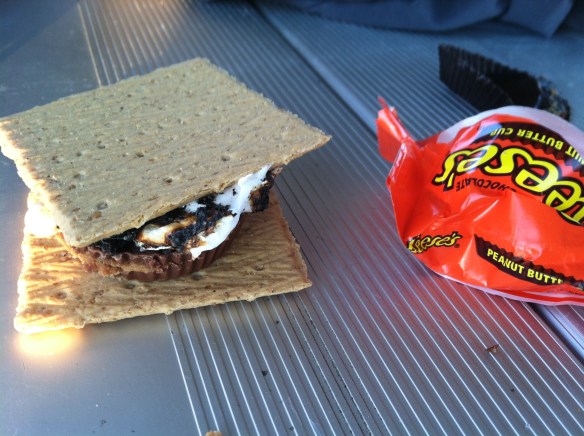 We made s'mores with a variety of fillings. One of my favs was the Reese's cup s'more! So good!