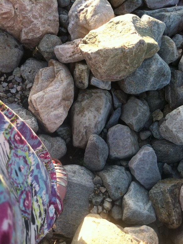 I had to run to the rocks to escape the bugs