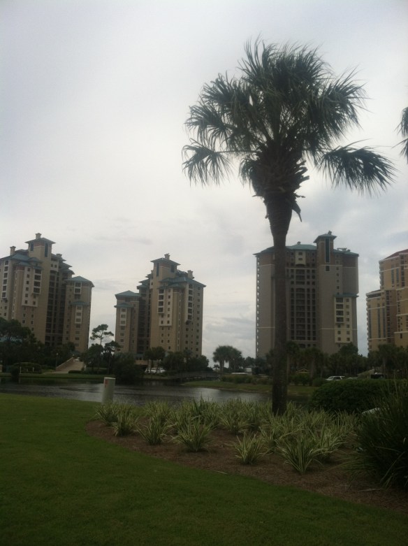 Some of our neighbors