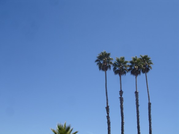 The fog cleared up and we had a beautiful day in Santa Cruz.